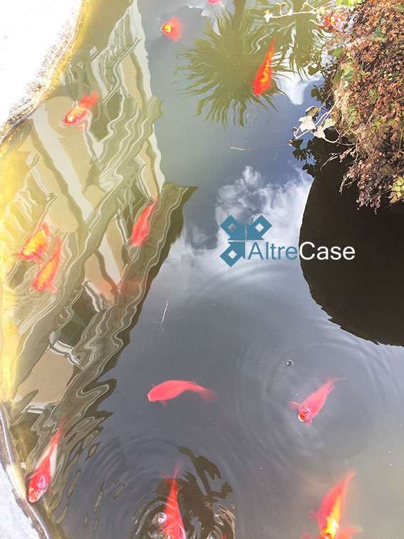 Ruta di Camogli luxury apartment