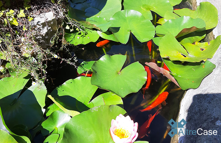 Ruta di Camogli luxury apartment
