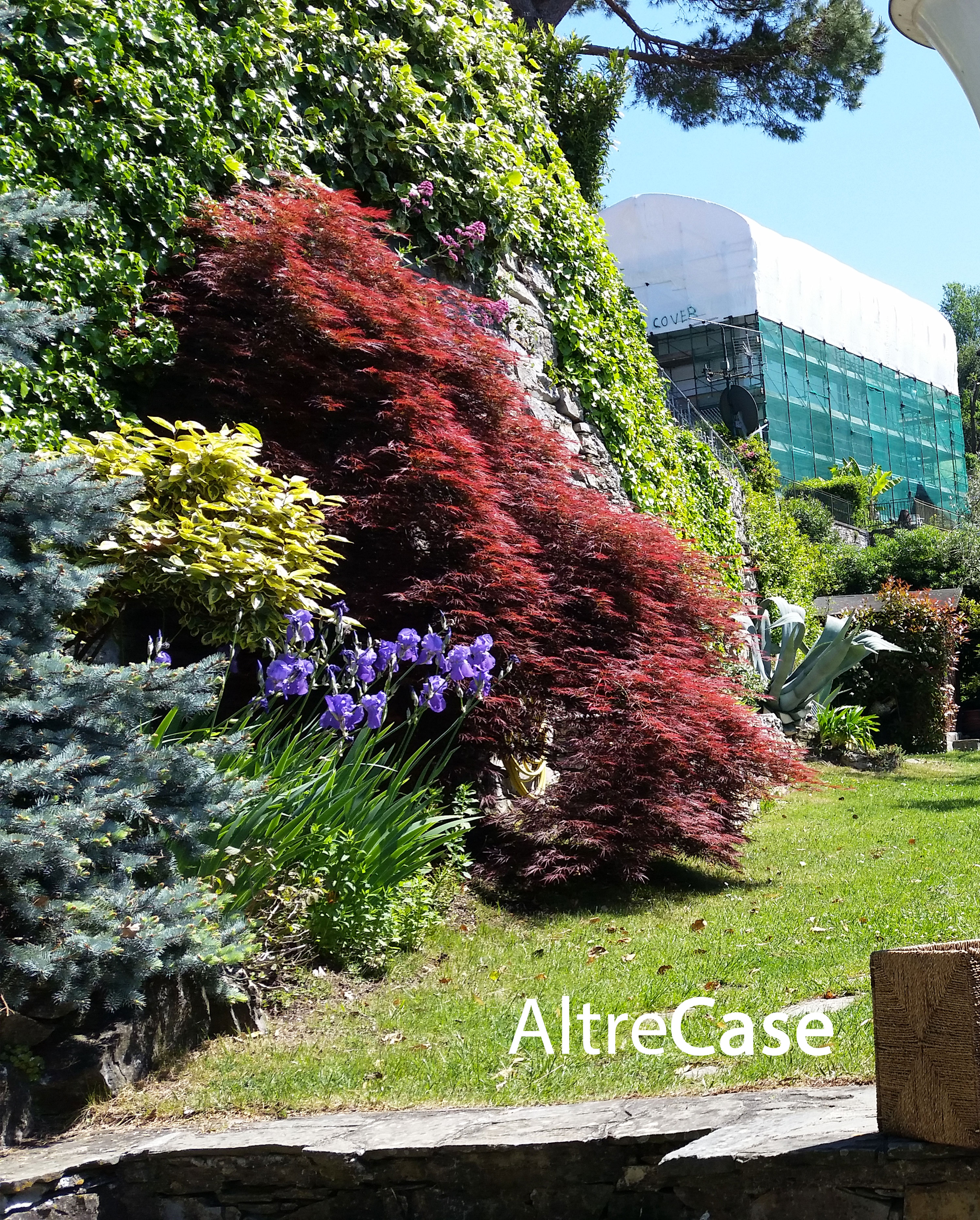 Ruta di Camogli luxury apartment