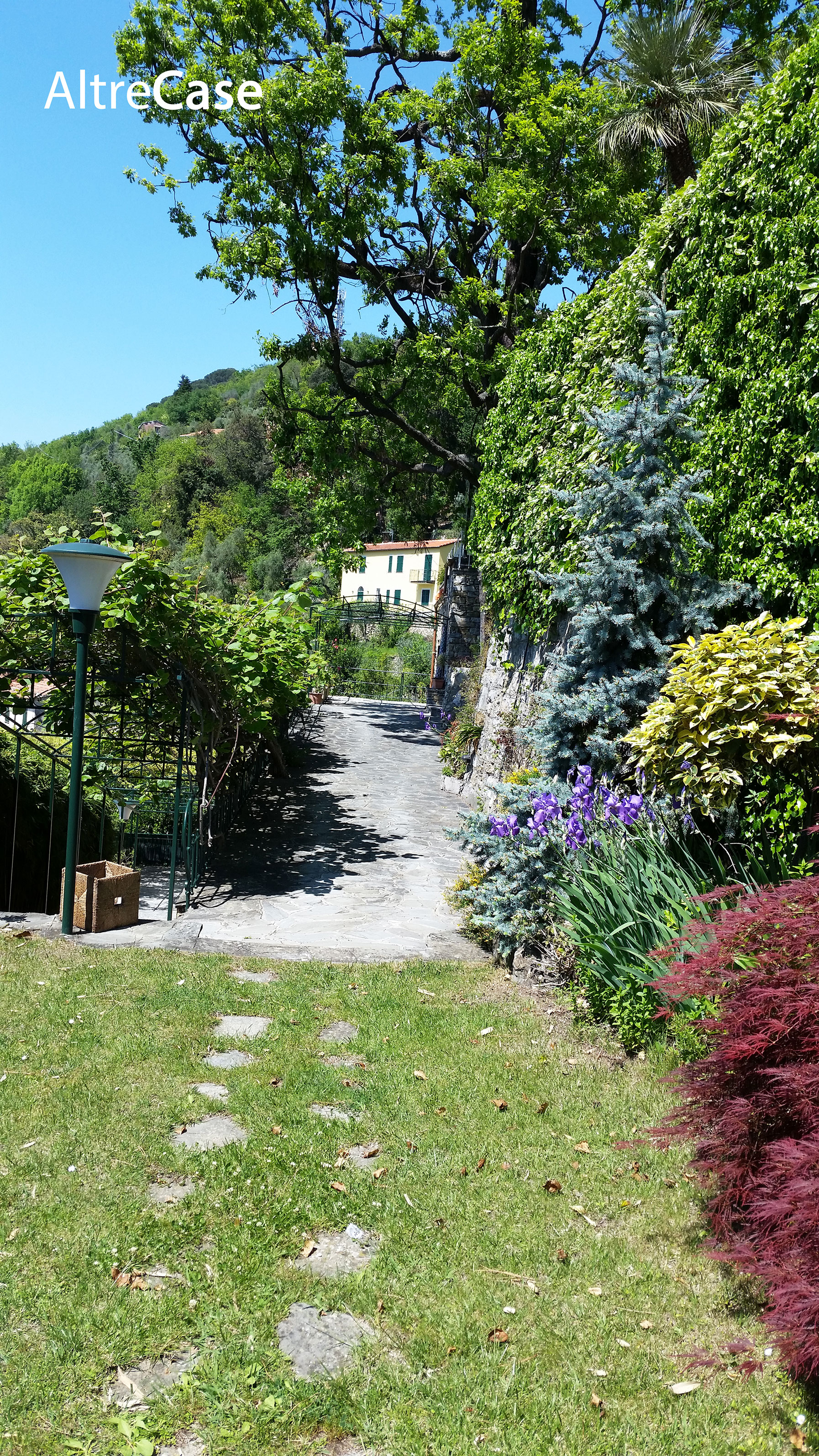 Ruta di Camogli luxury apartment