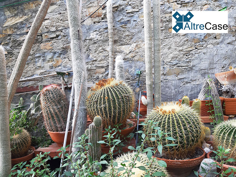 Incantevole giardino sul Golfo