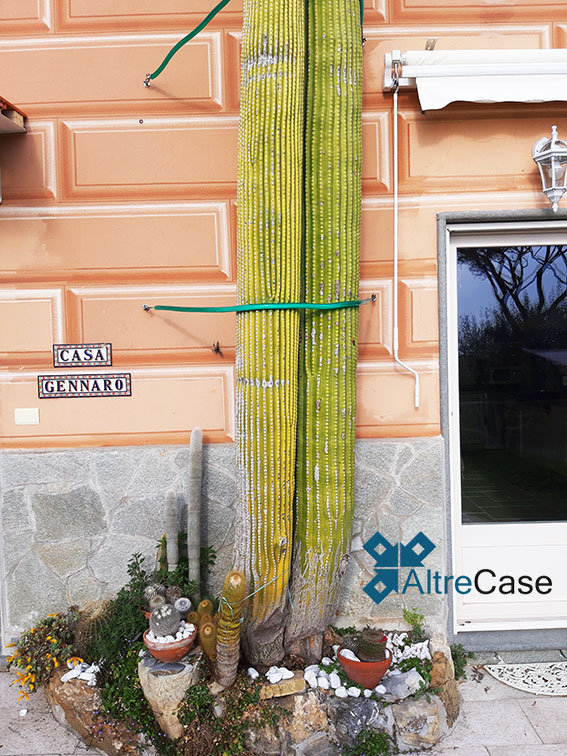 Incantevole giardino sul Golfo