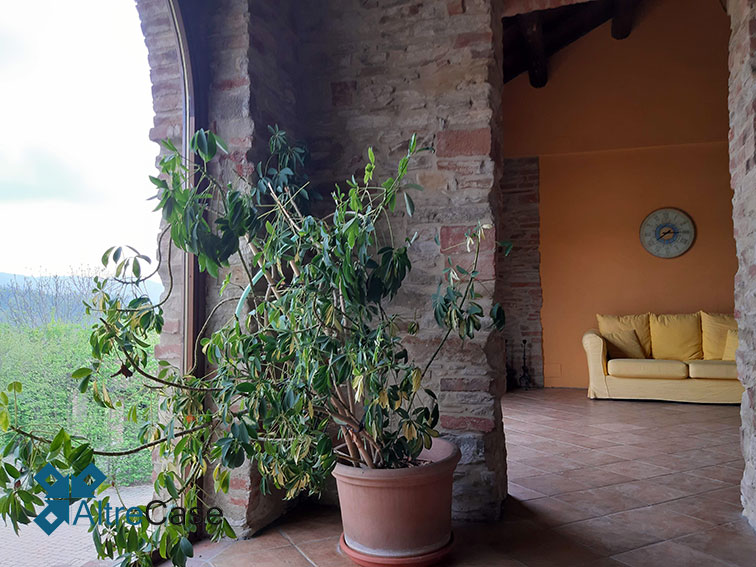 Cremolino Cascina con vigneto