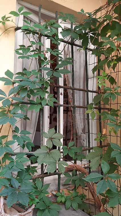 Camogli giardino sul lungomare