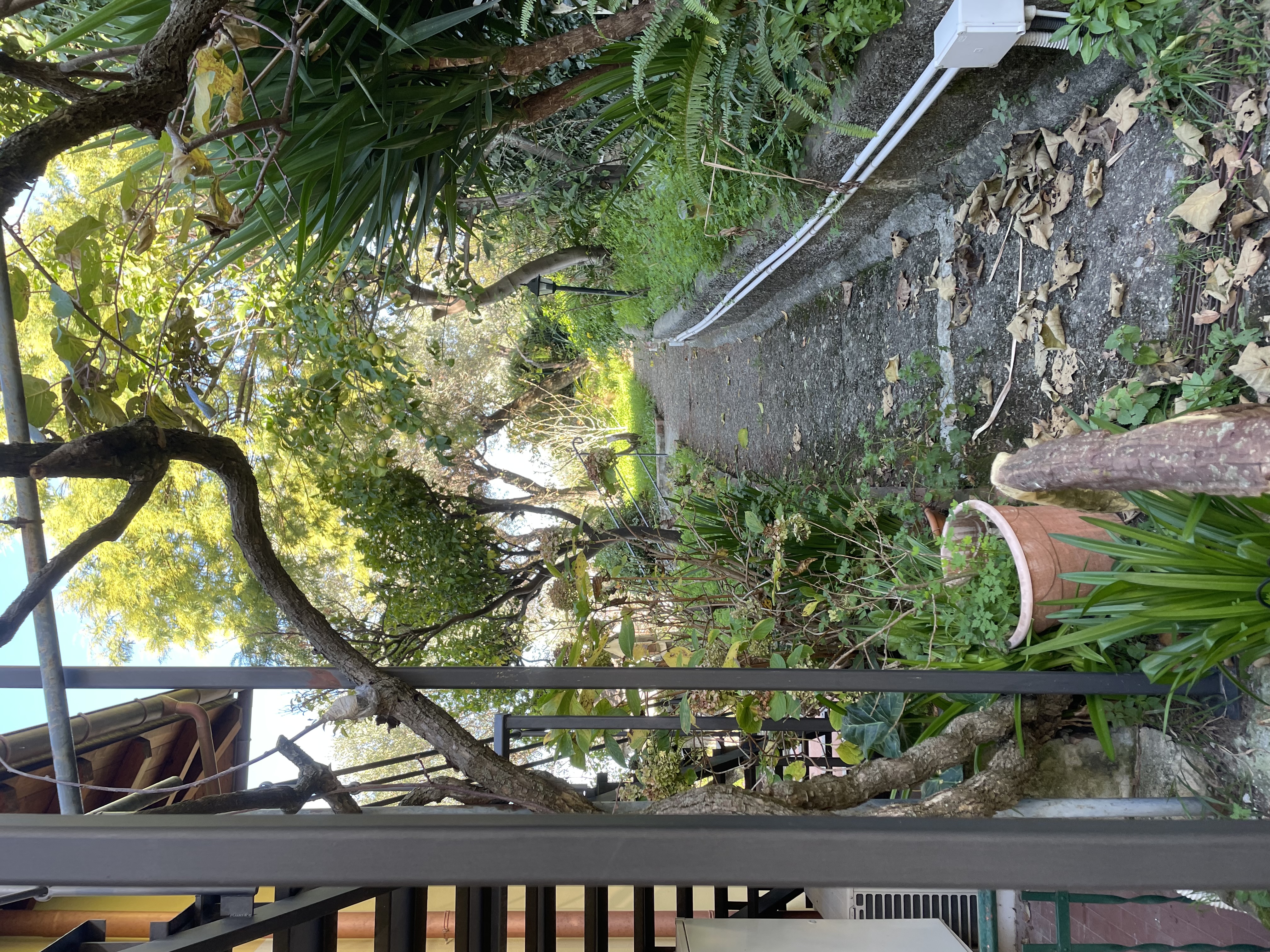Camogli appartamento con giardino e vista da sogno sul mare