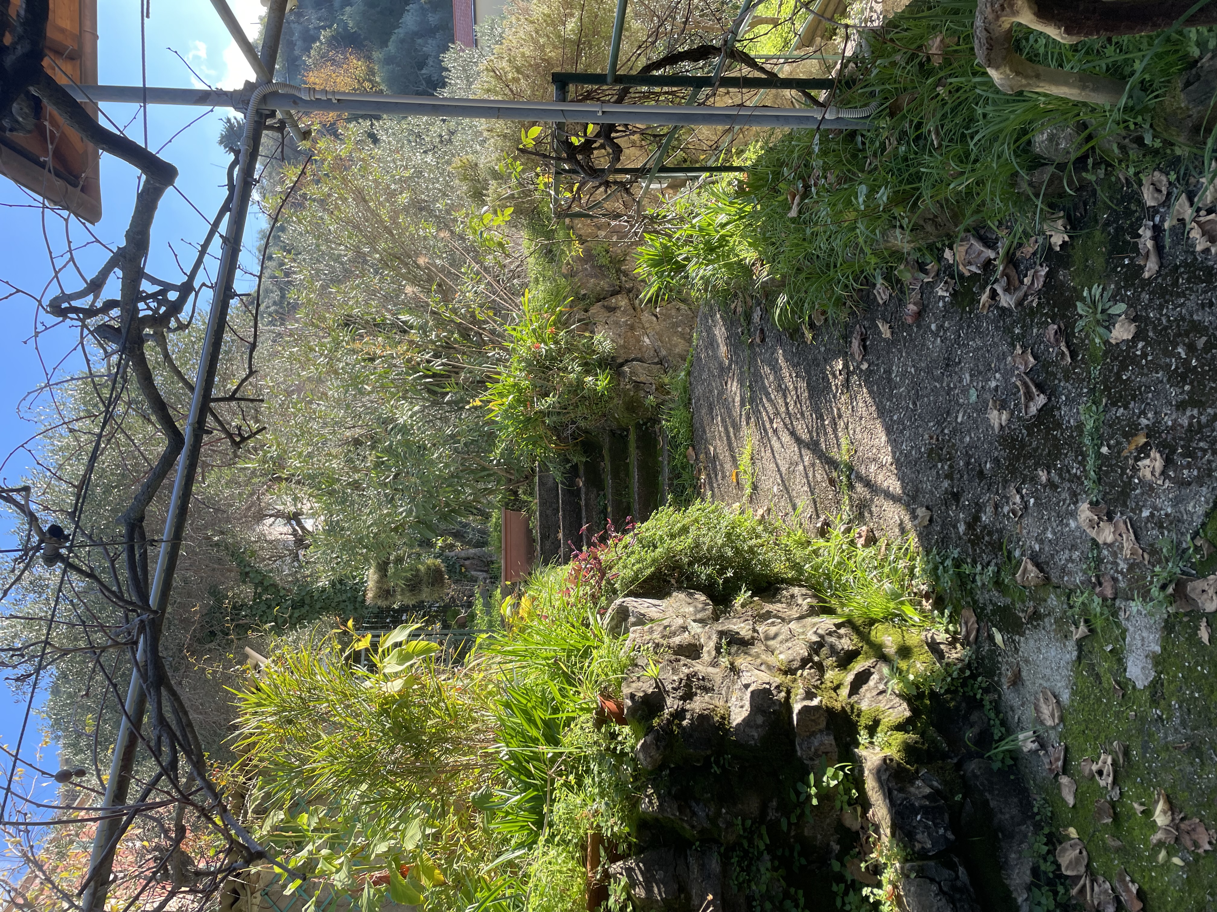 Camogli appartamento con giardino e vista da sogno sul mare