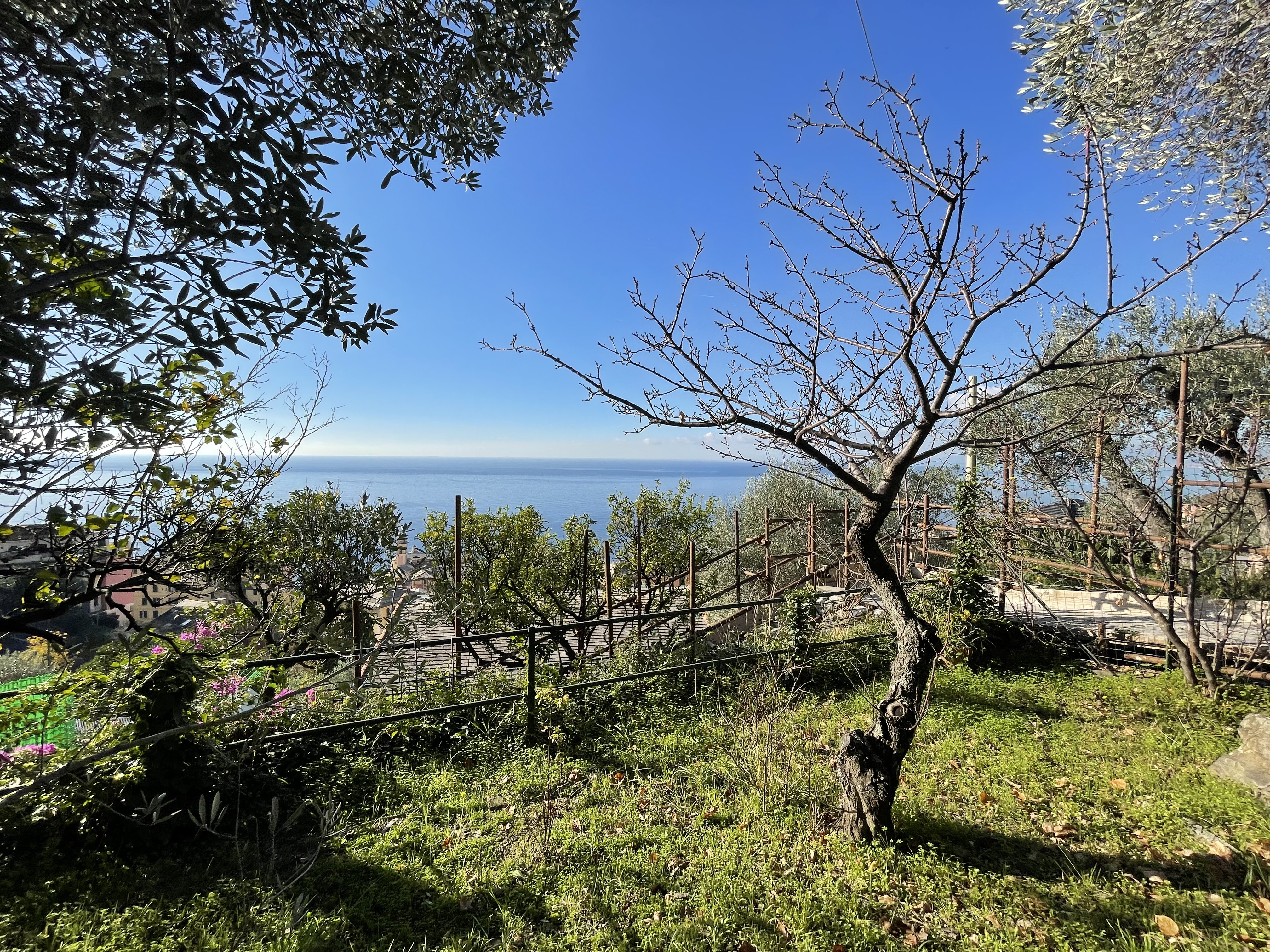 Camogli appartamento con giardino e vista da sogno sul mare