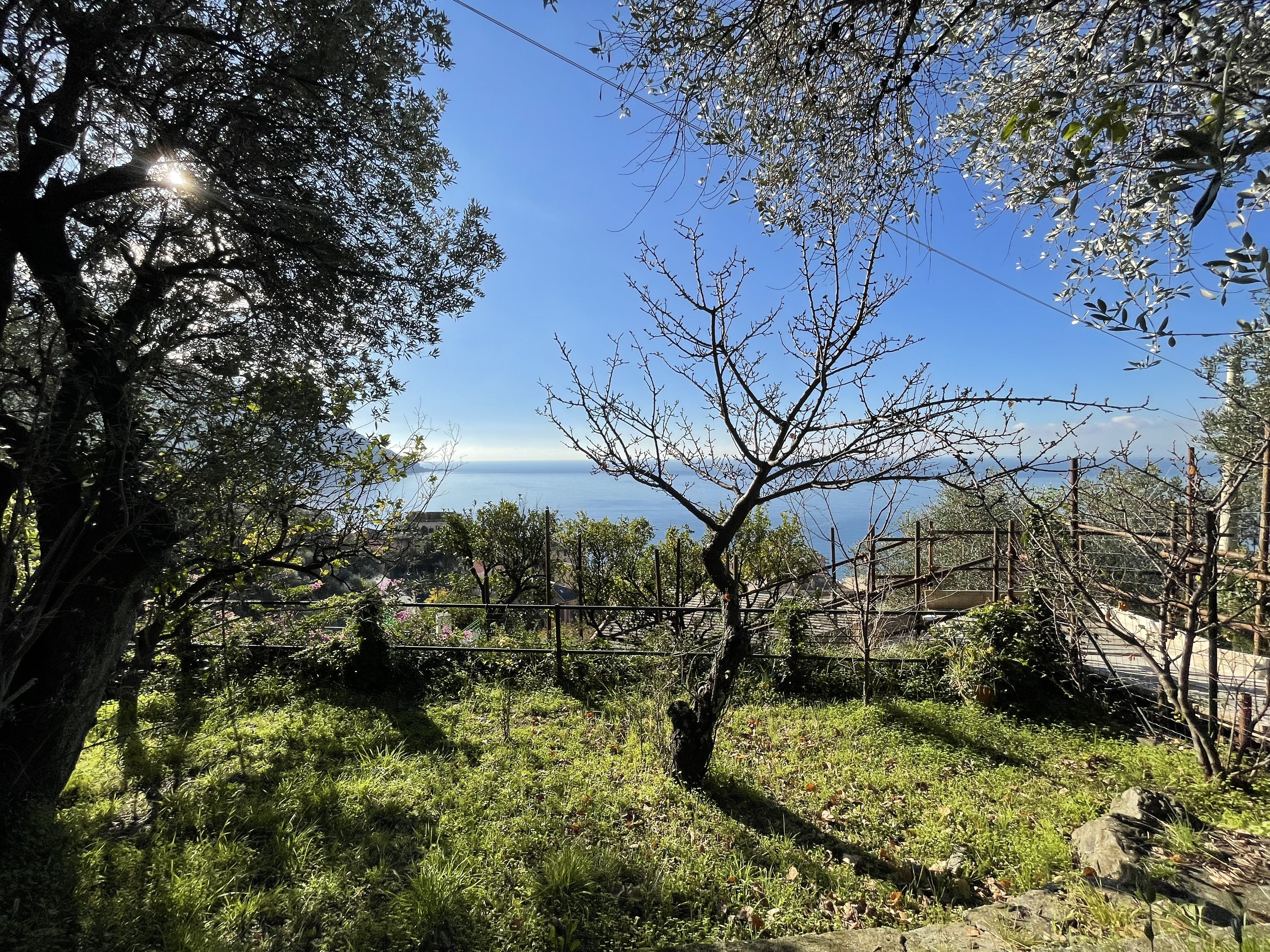 Camogli appartamento con giardino e vista da sogno sul mare