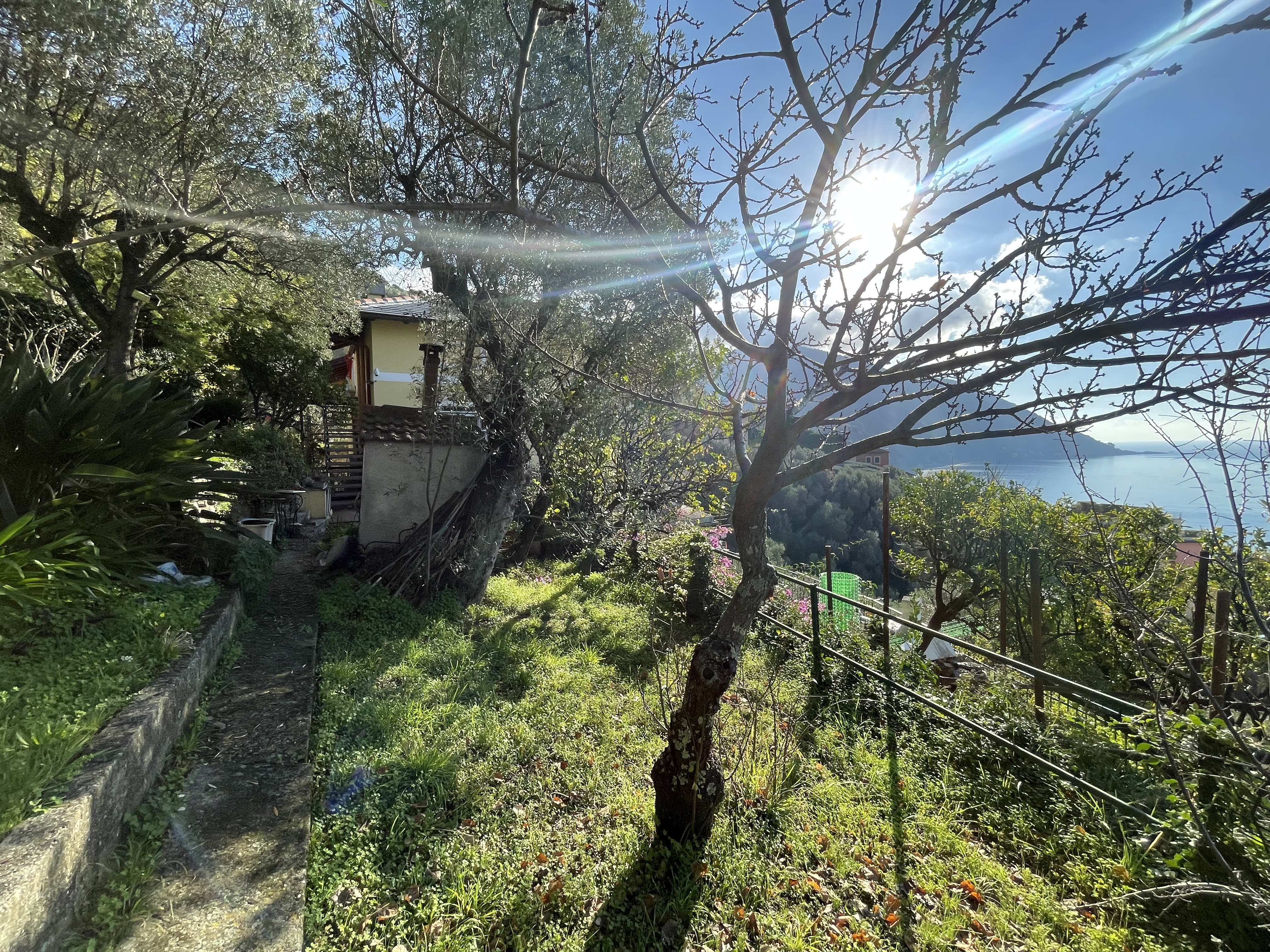 Camogli appartamento con giardino e vista da sogno sul mare