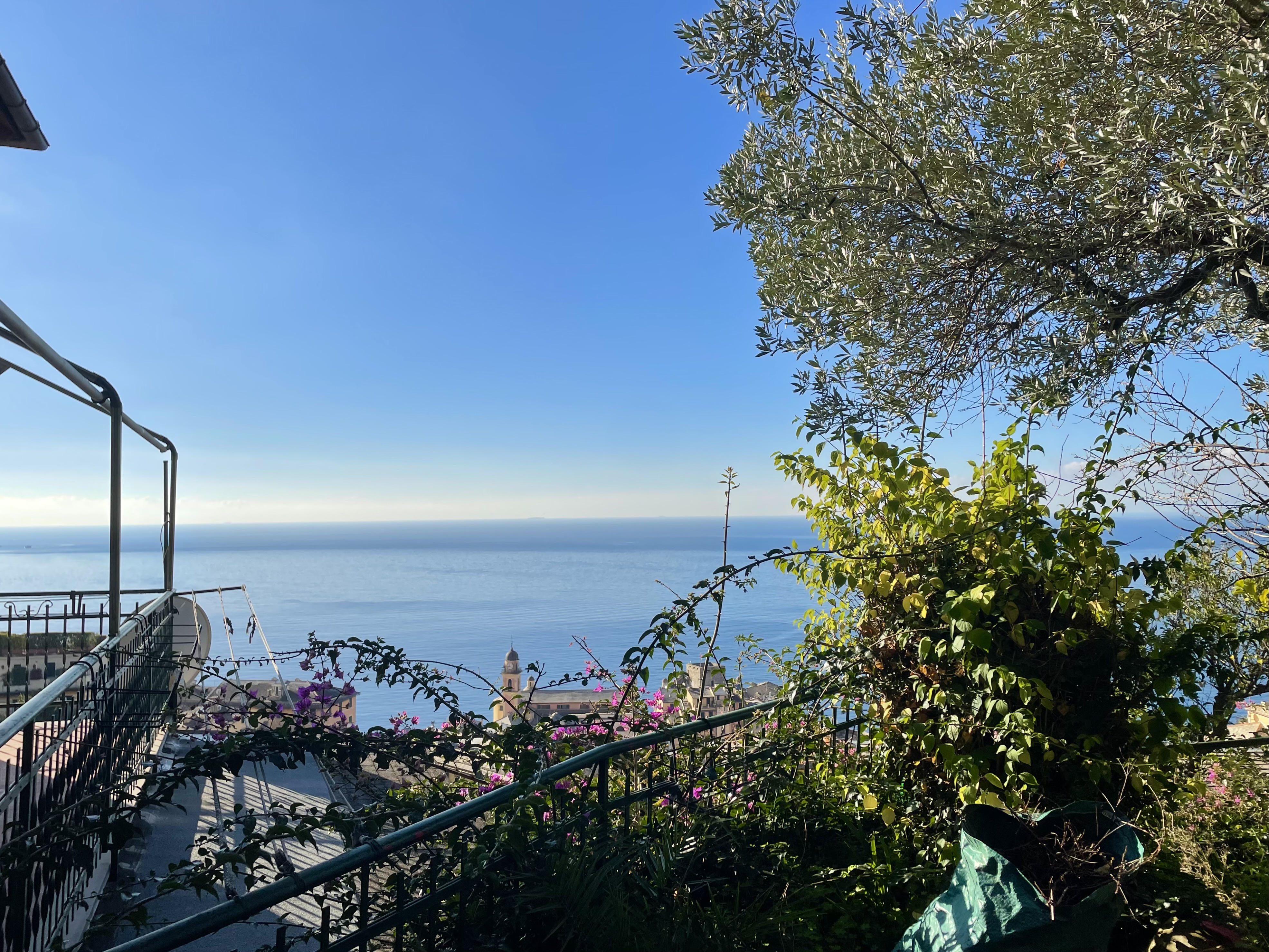 Camogli appartamento con giardino e vista da sogno sul mare