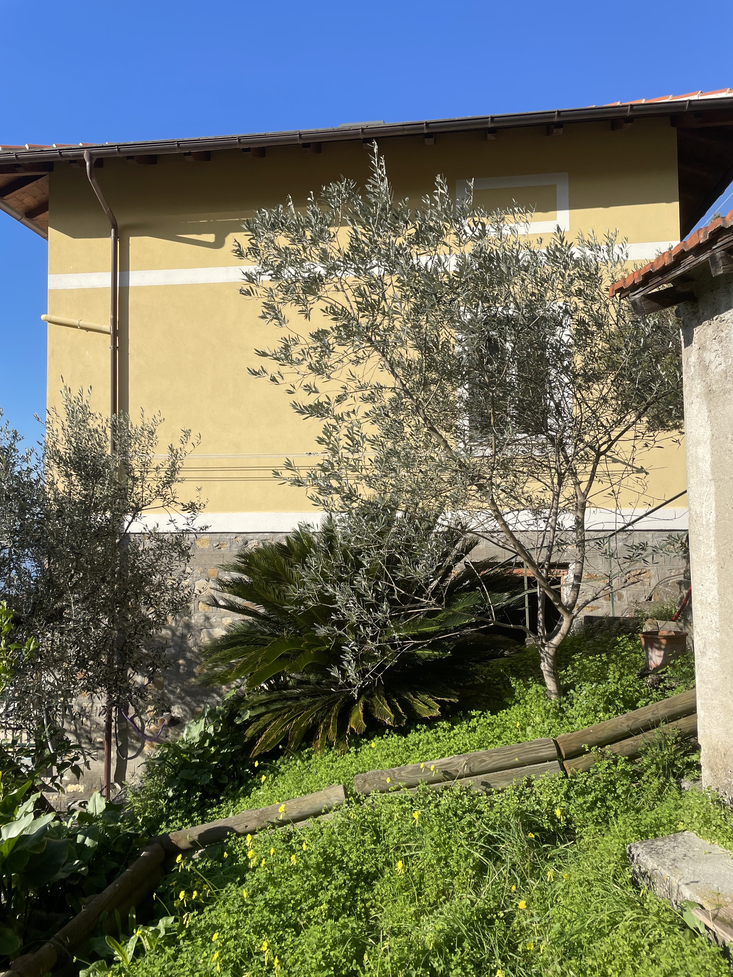 Camogli appartamento con giardino e vista da sogno sul mare