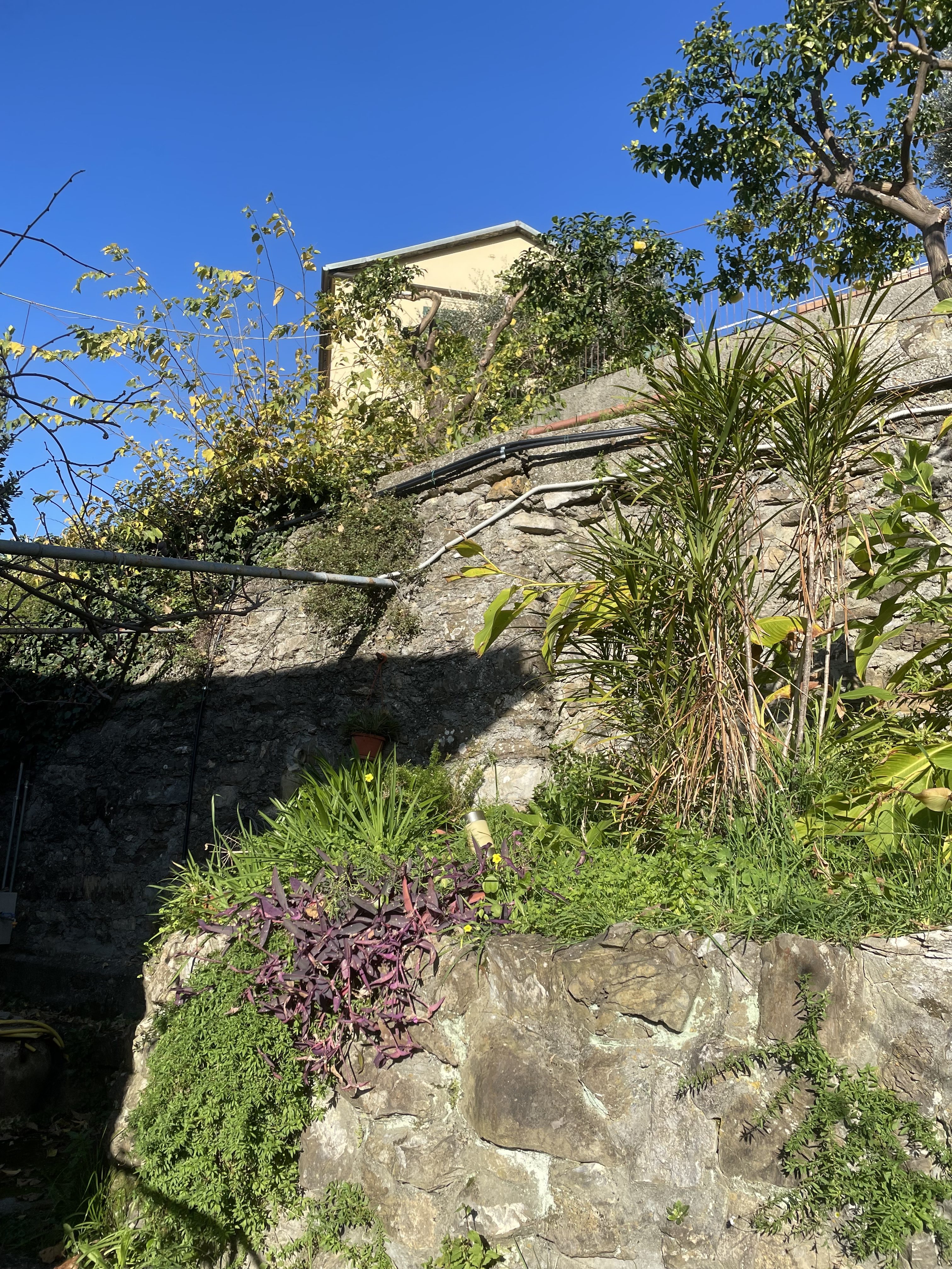 Camogli appartamento con giardino e vista da sogno sul mare
