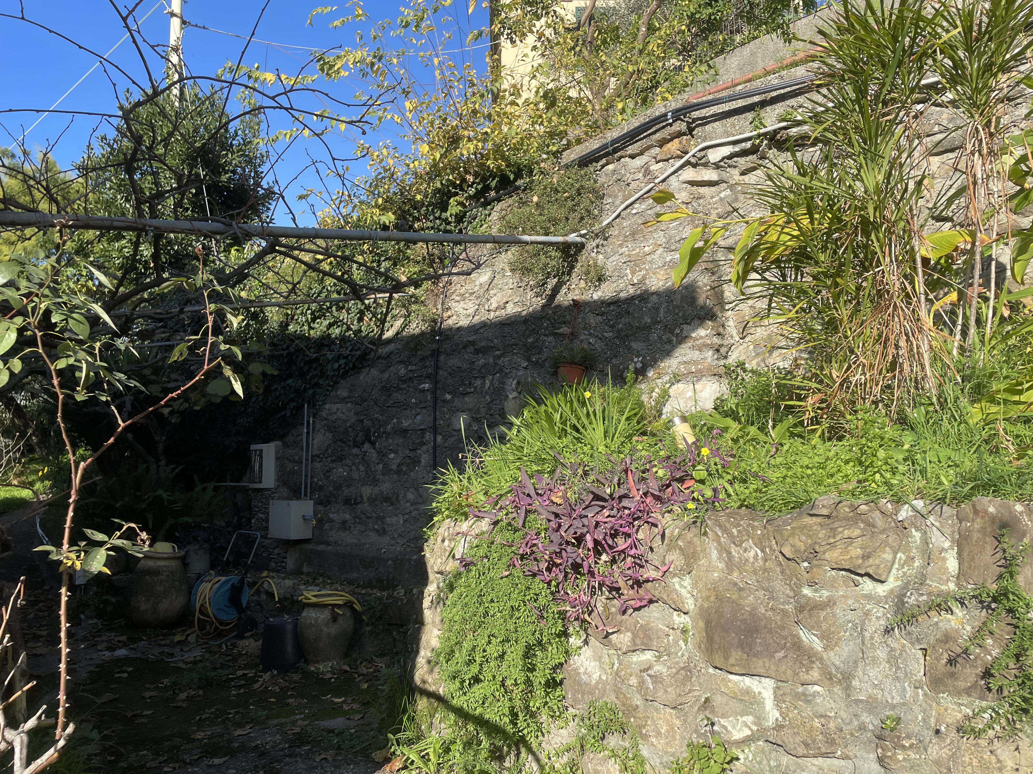 Camogli appartamento con giardino e vista da sogno sul mare