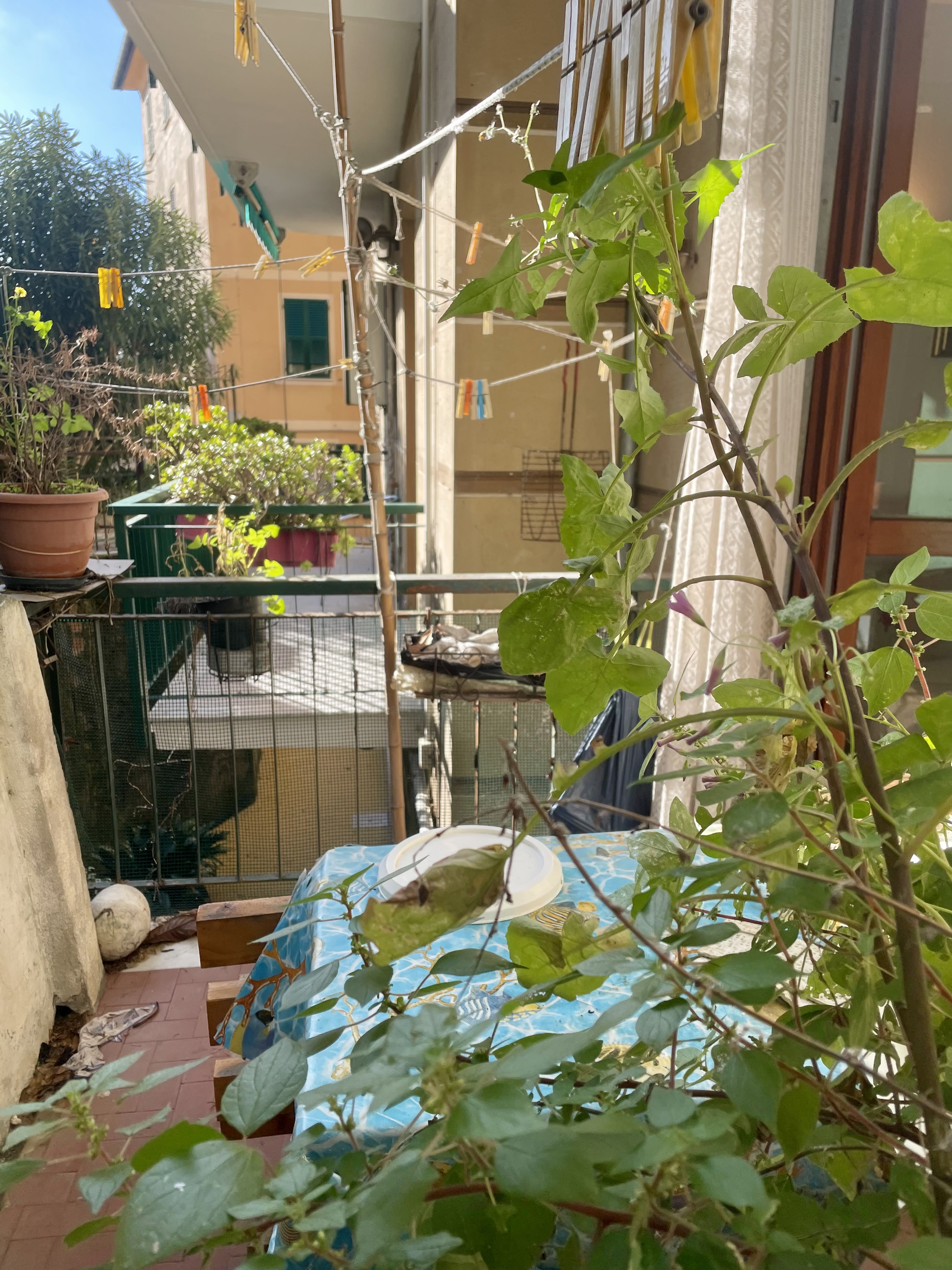 Camogli appartamento centralissimo con due terrazzini