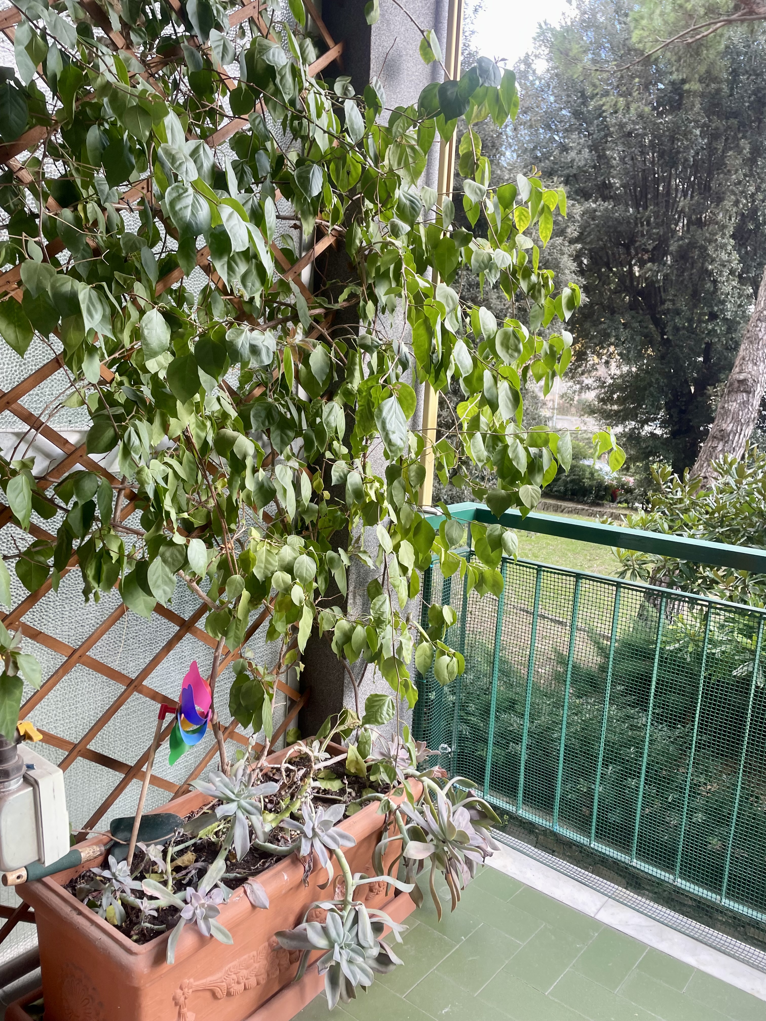 Recco delizioso appartamento con balcone