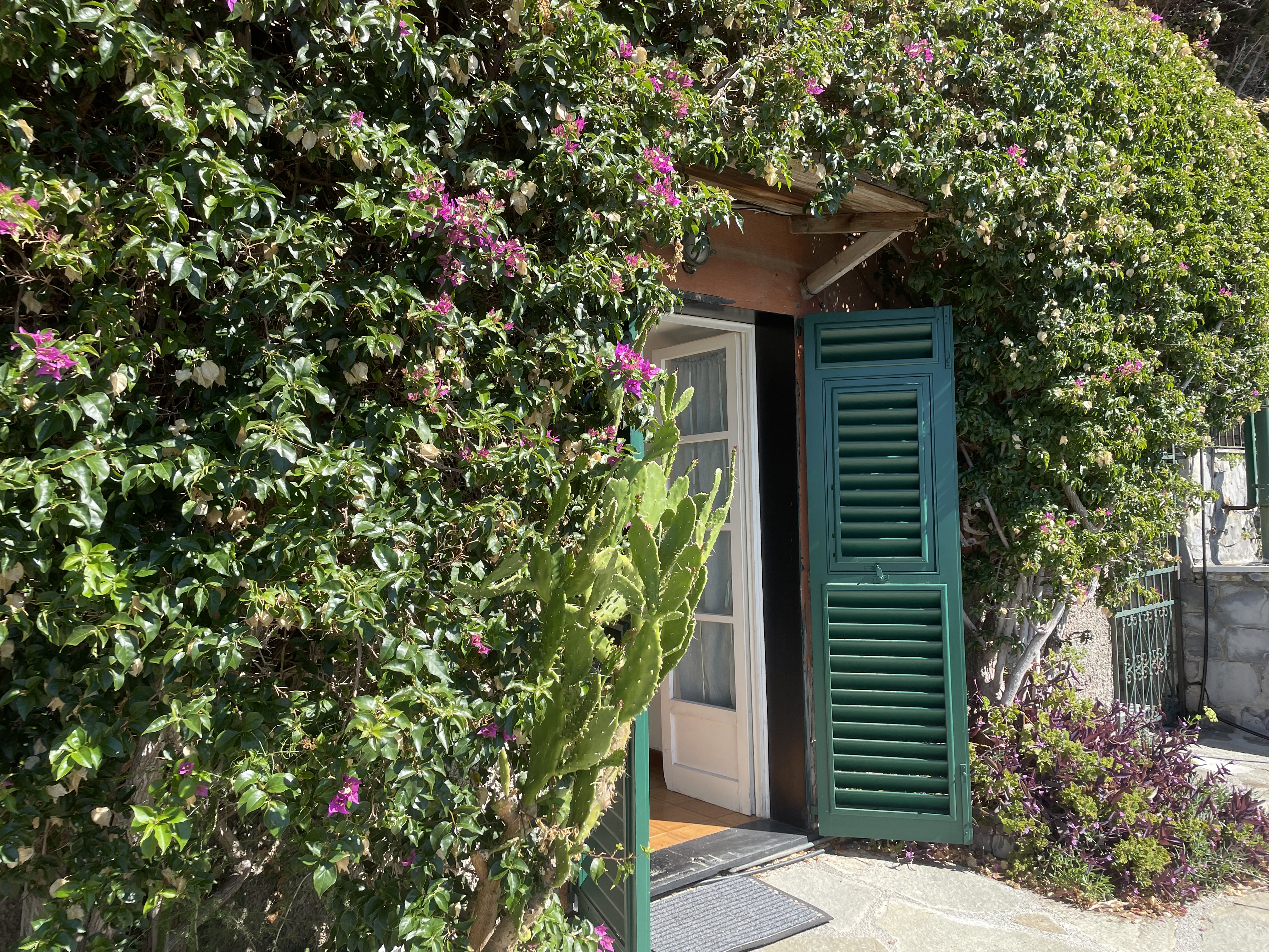 Camogli indimenticabile terrazza a picco sul mare