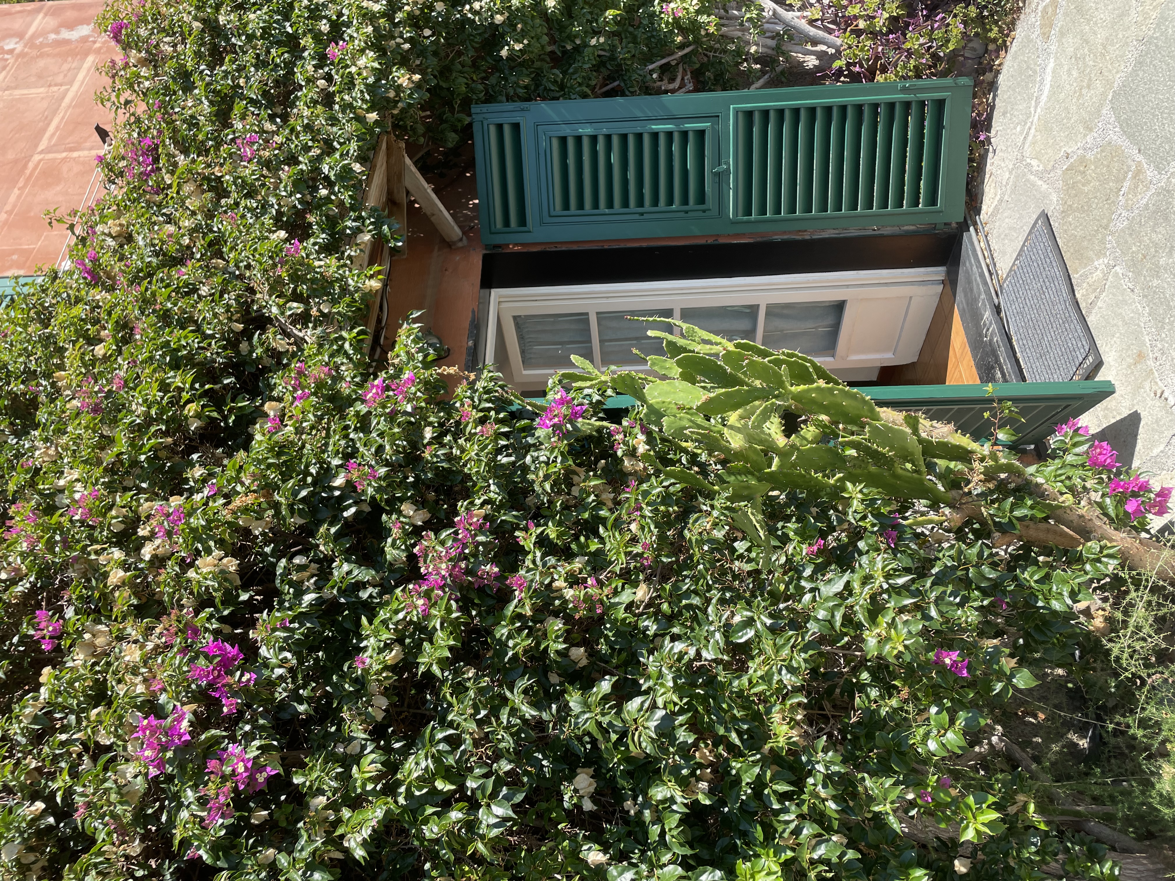 Camogli indimenticabile terrazza a picco sul mare