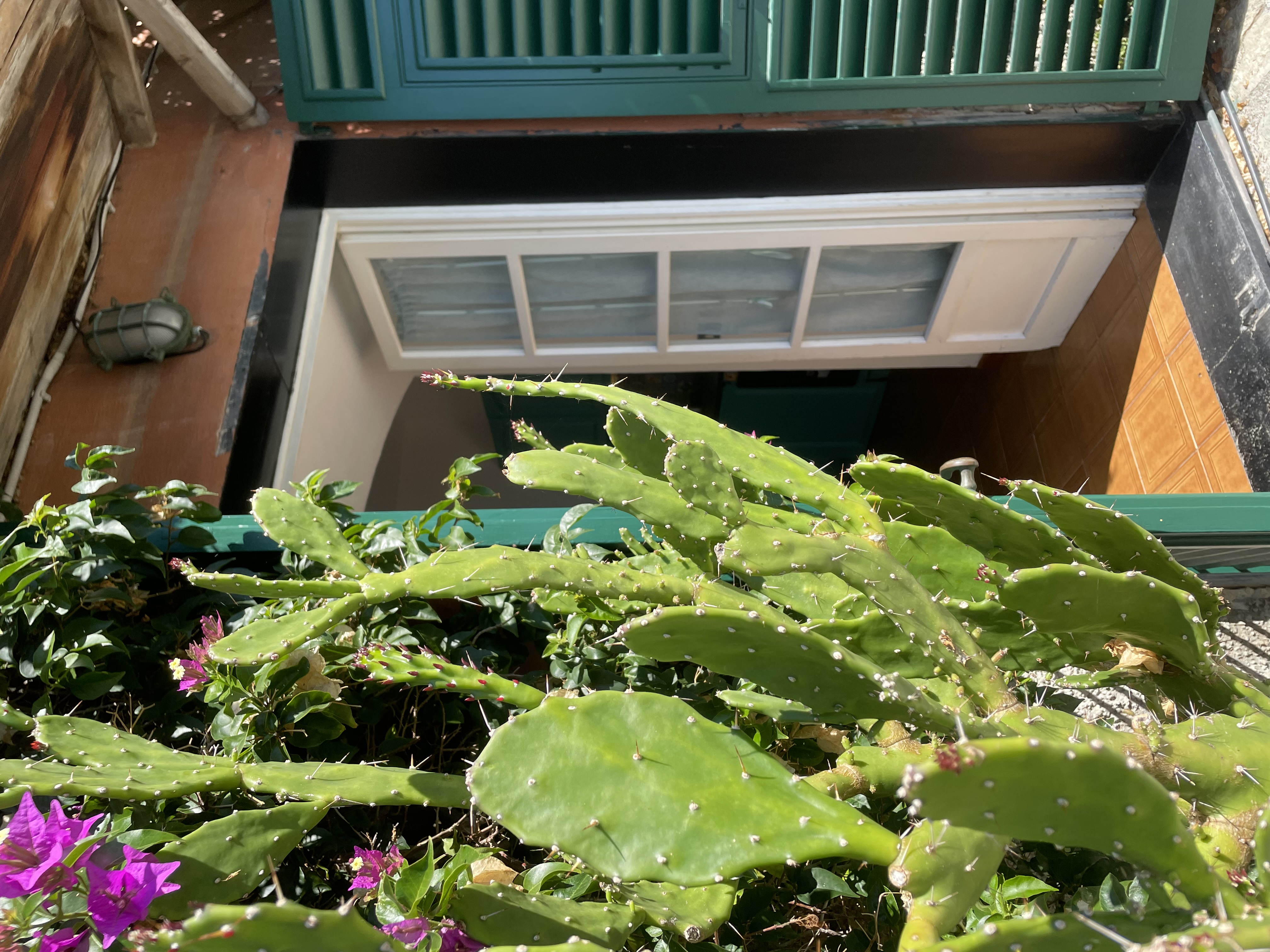 Camogli indimenticabile terrazza a picco sul mare