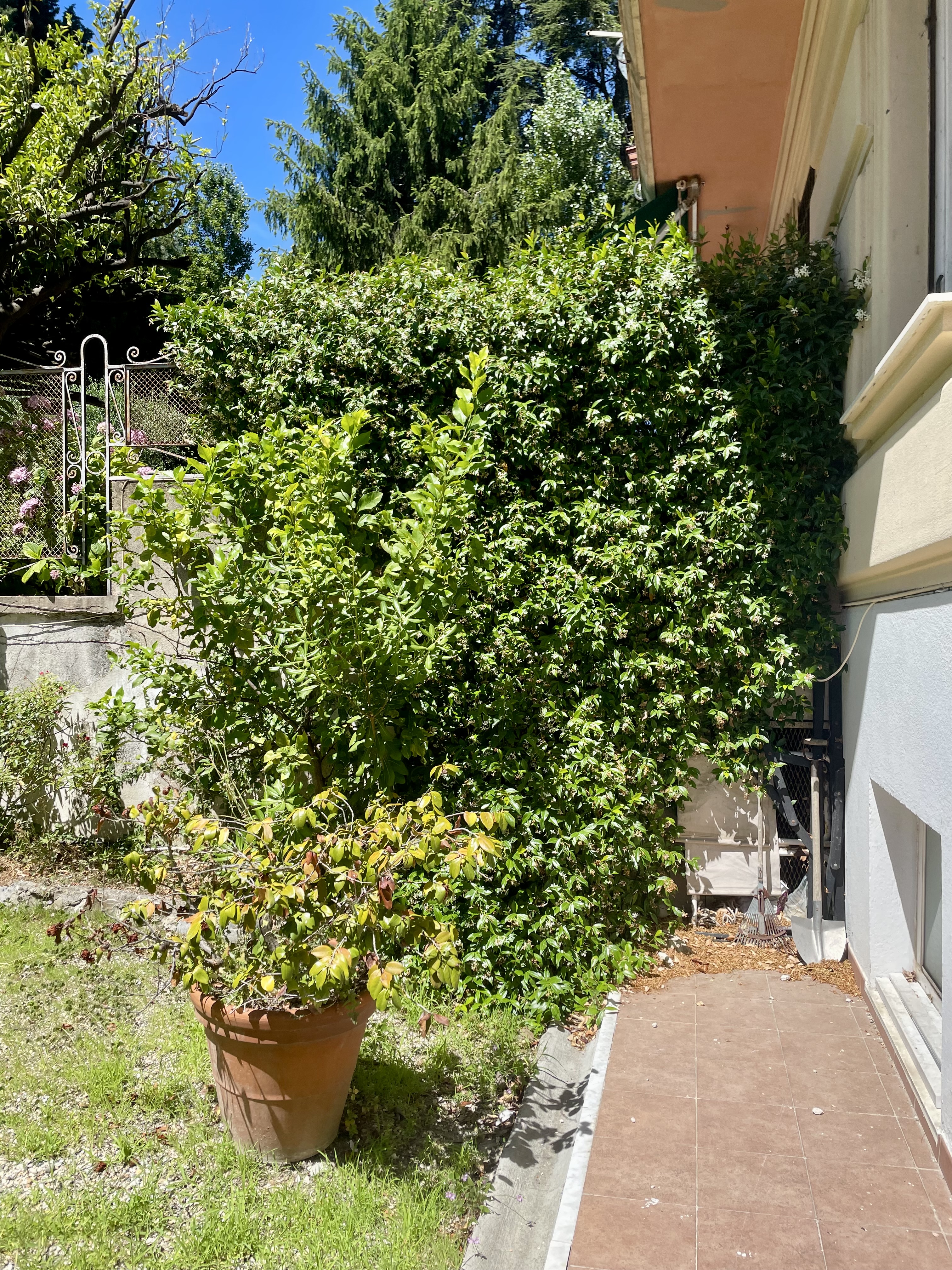 Genova Albaro via Byron