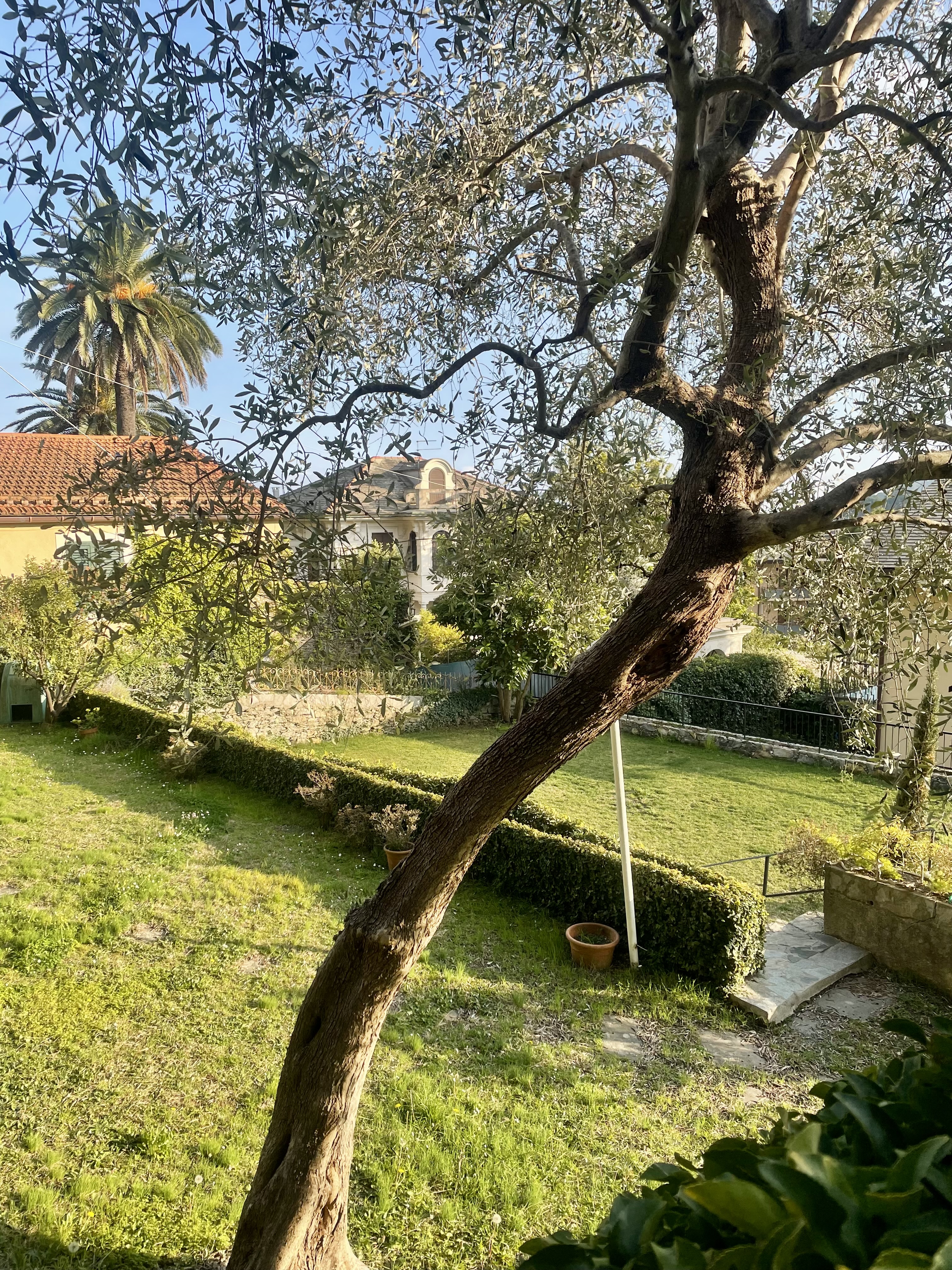 SML Ampia metratura con giardino e box auto