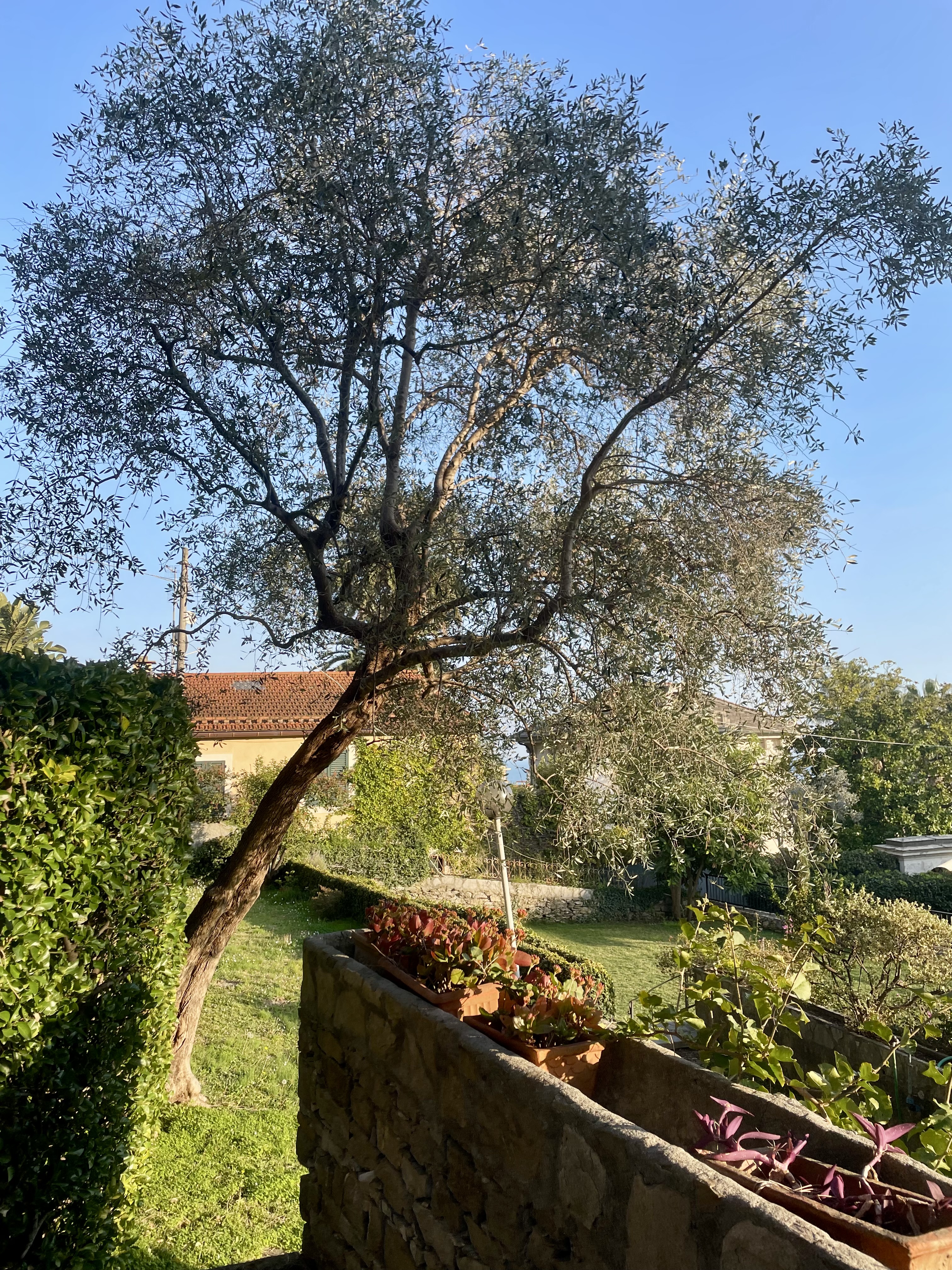 SML Ampia metratura con giardino e box auto