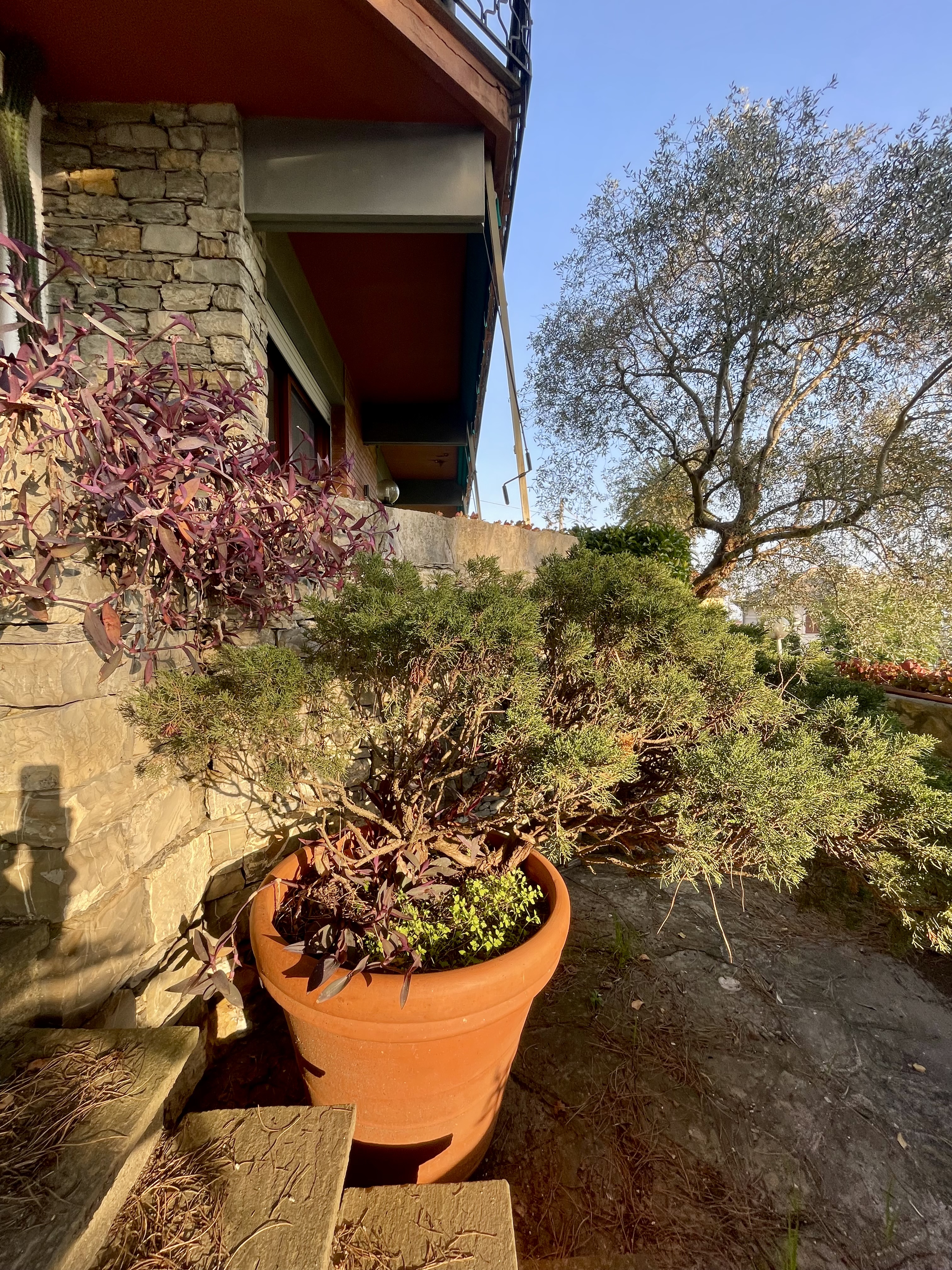 SML Ampia metratura con giardino e box auto